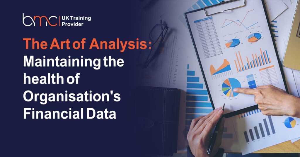 The Art of Analysis Maintaining the health of Organisation's Financial Data